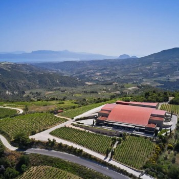 Nemea - Visit to a winery