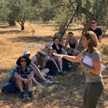 Olive oil tasting & half-day tour